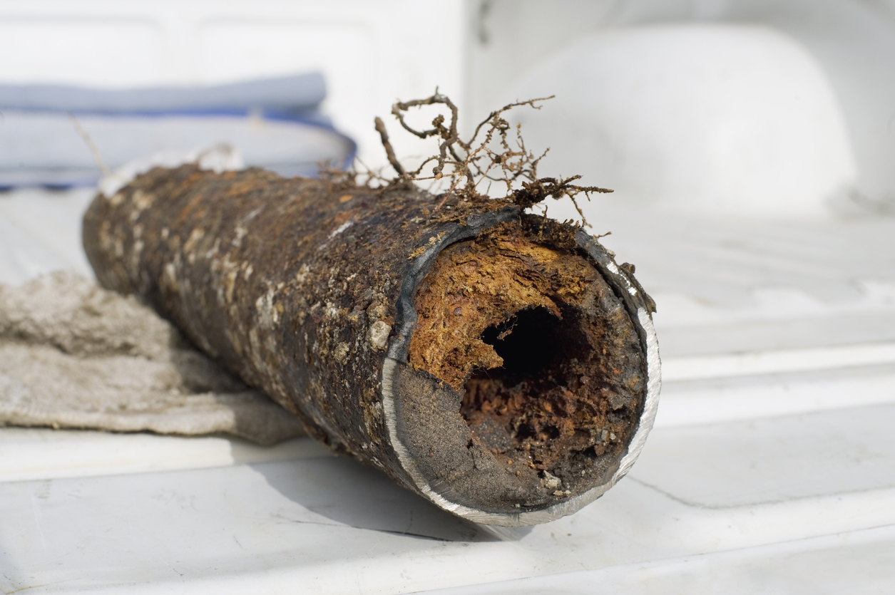 Aging Pipes At It Again Broken Sewer Pipe Vancouver Perma Liner   Aging Pipes At It Again 